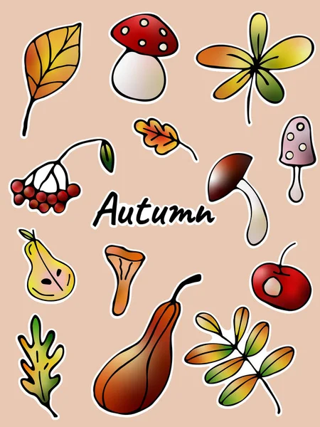 Herbststicker Mit Blättern Pilzen Kürbissen — Stockvektor