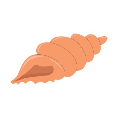 Deniz kabuğunun vektör düz çizimi. Deniz yatağının sualtı sakinleri.