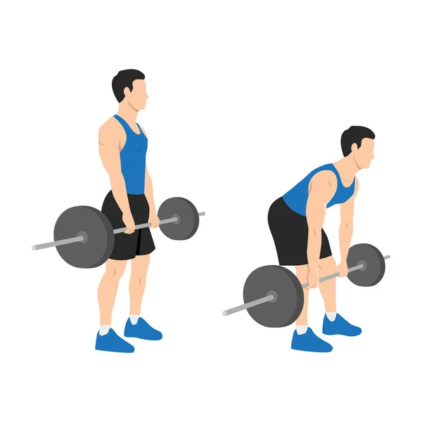 Man Doing Barbell Romanian Deadlifts Exercise Flat Vector Illustration Isolated — Stock Vector