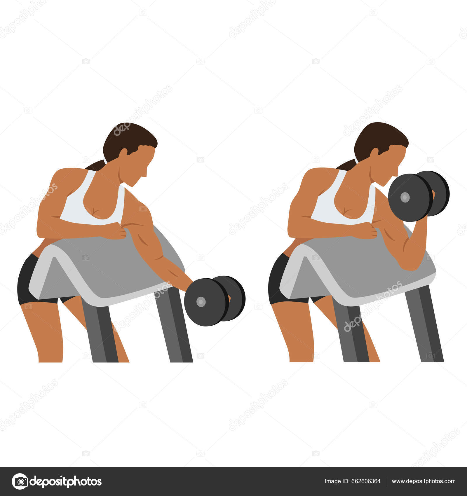 Incline Db Biceps Curl Bench Incline Bench Single Arm Db Preacher