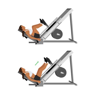 Woman doing leg press exercise on machine. Flat vector illustration isolated on white background clipart