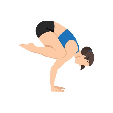 Crow yapan kadın bakasana egzersizi yapıyor. Düz vektör çizimi beyaz arkaplanda izole edildi