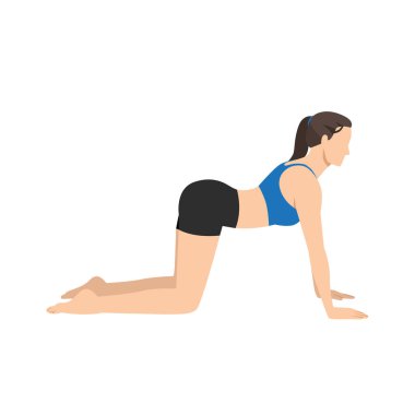 İnek pozu veren kadın Bitilasana egzersizi yapıyor. Düz vektör çizimi beyaz arkaplanda izole edildi