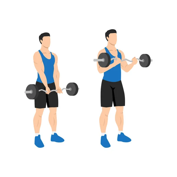Man Doing Barbell Curl Flat Vector Illustration Isolated Different Layers — Stock Vector