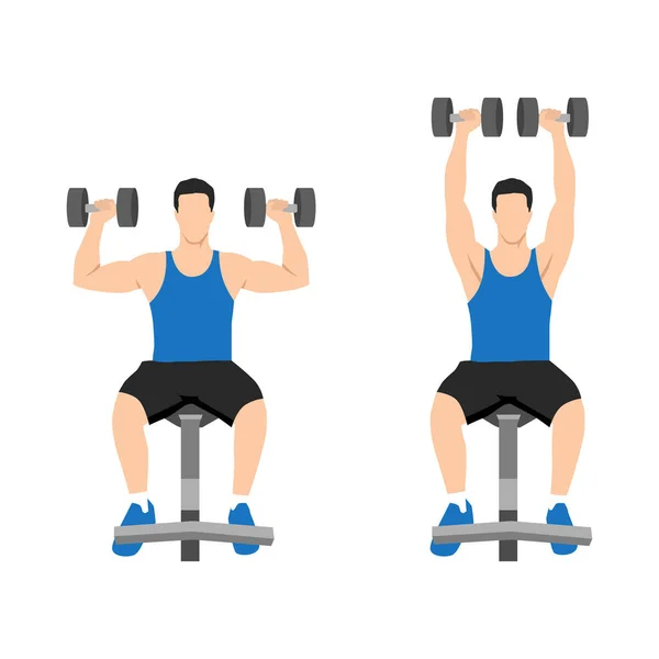 Oturan Adam Dumbbell Omuzlarını Bastırıyor Iyi Vücut Egzersizi Üst Vücut — Stok Vektör