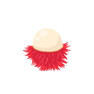 Rambutan 'ın düz vektörü beyaz arkaplanda izole edildi. Düz illüstrasyon grafik simgesi