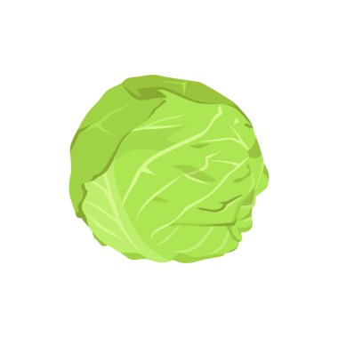 Beyaz arka planda yalıtılmış lahana yassı vektörü. Düz illüstrasyon grafik simgesi