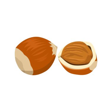 Fındıklı düz vektör beyaz arka planda izole edildi. Düz illüstrasyon grafik simgesi