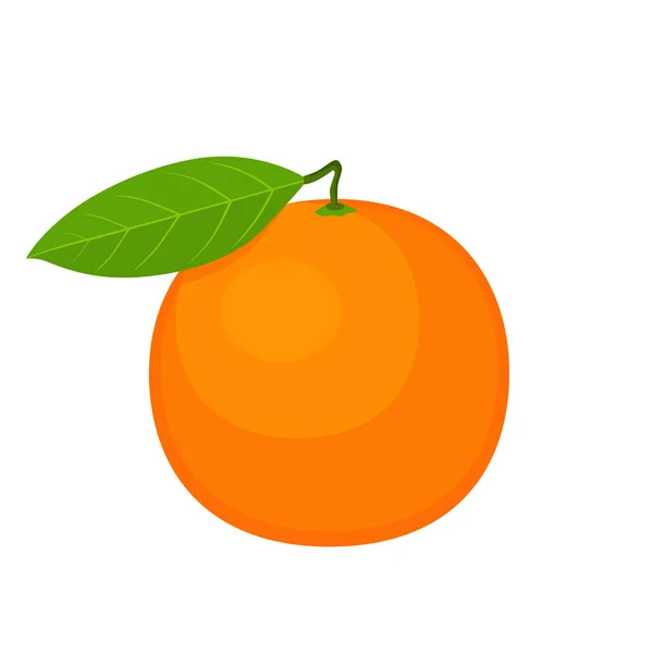 Flacher Vektor Orangefarbener Früchte Auf Weißem Hintergrund Flache Illustration Grafisches — Stockvektor