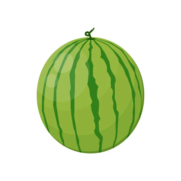 Vlakke Vector Van Watermeloen Geïsoleerd Witte Achtergrond Platte Illustratie Grafisch — Stockvector