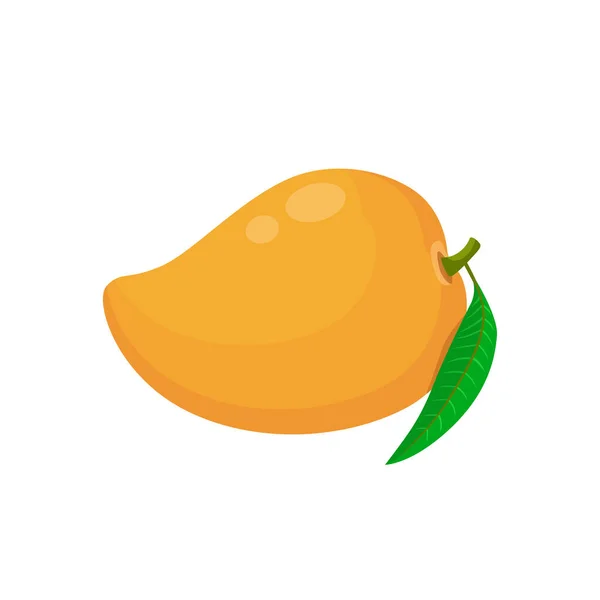 Platt Vektor Mango Tropisk Och Exotisk Frukttyp Isolerad Vit Bakgrund — Stock vektor