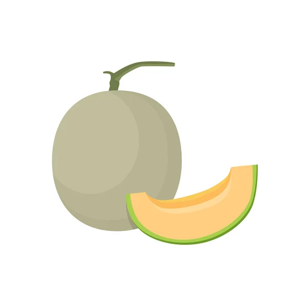 Vecteur Plat Fruits Melon Roche Isolé Sur Fond Blanc Illustration — Image vectorielle