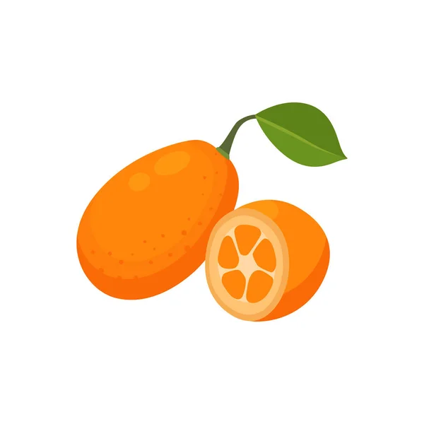Flacher Vektor Der Kumquat Frucht Isoliert Auf Weißem Hintergrund Flache — Stockvektor