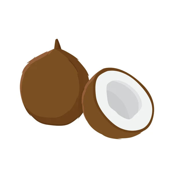 在白色背景上分离的椰子扁平向量 平面插图图形图标 — 图库矢量图片