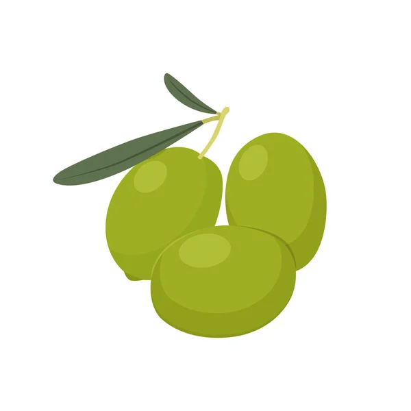 Vlakke Vector Van Olijf Fruit Geïsoleerd Witte Achtergrond Platte Illustratie — Stockvector