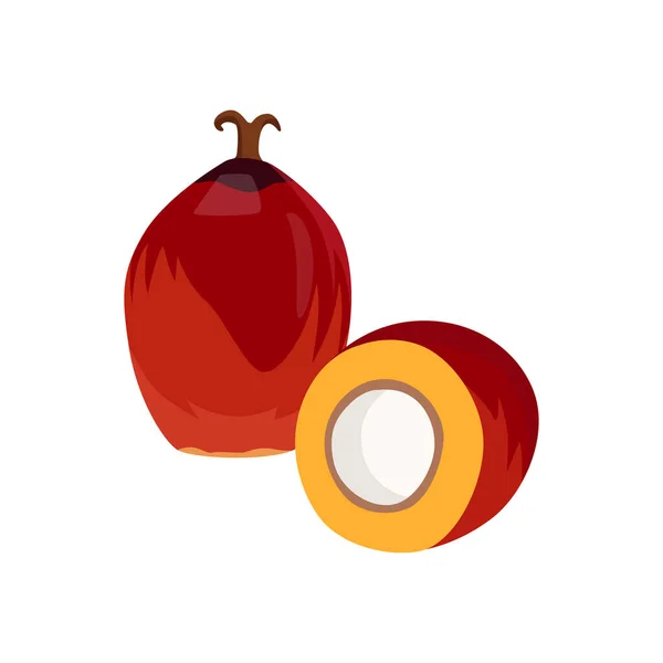 Vector Plano Fruto Palma Aislado Sobre Fondo Blanco Icono Gráfico — Vector de stock