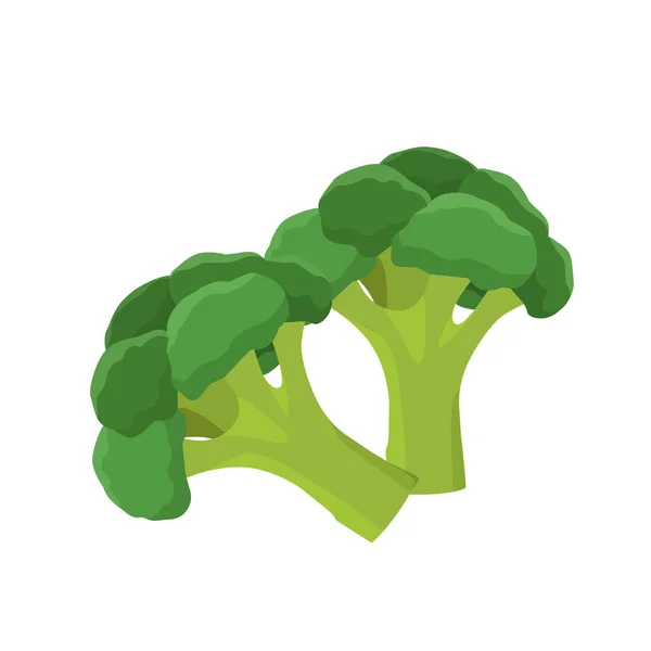 Platt Vektor Broccoli Isolerad Vit Bakgrund Platt Illustration Grafisk Ikon — Stock vektor