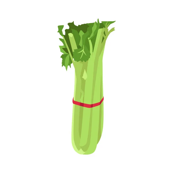 在白色背景上分离的芹菜平面向量 平面插图图形图标 — 图库矢量图片