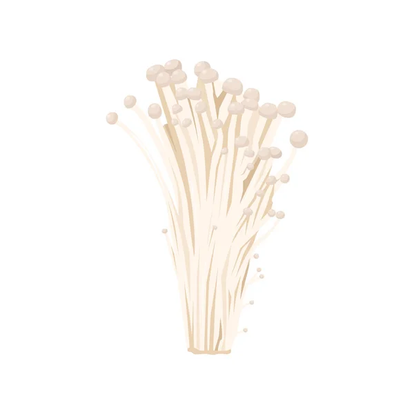 Flat Vector Enoki Mushroom Isolated White Background Flat Illustration Graphic — Stock Vector