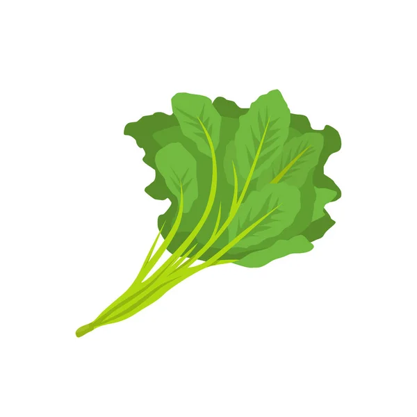 Vetor Plano Kale Isolado Sobre Fundo Branco Ícone Gráfico Ilustração —  Vetores de Stock