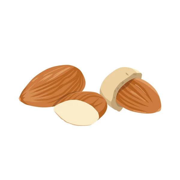 Flat Vector Almond Nuts Isolated White Background Flat Illustration Graphic — Stock Vector