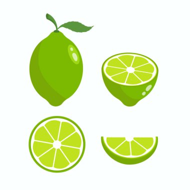 Vektör limon dilimi yeşil çizim limon, yarım meyve limonu izole edilmiş. Taze yeşil kesim turunçgil simgesi.