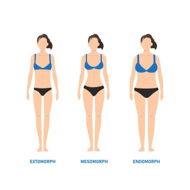 İnsan vücudu. Endomorph, ectomorph ve mesomorph gibi kadınlar..