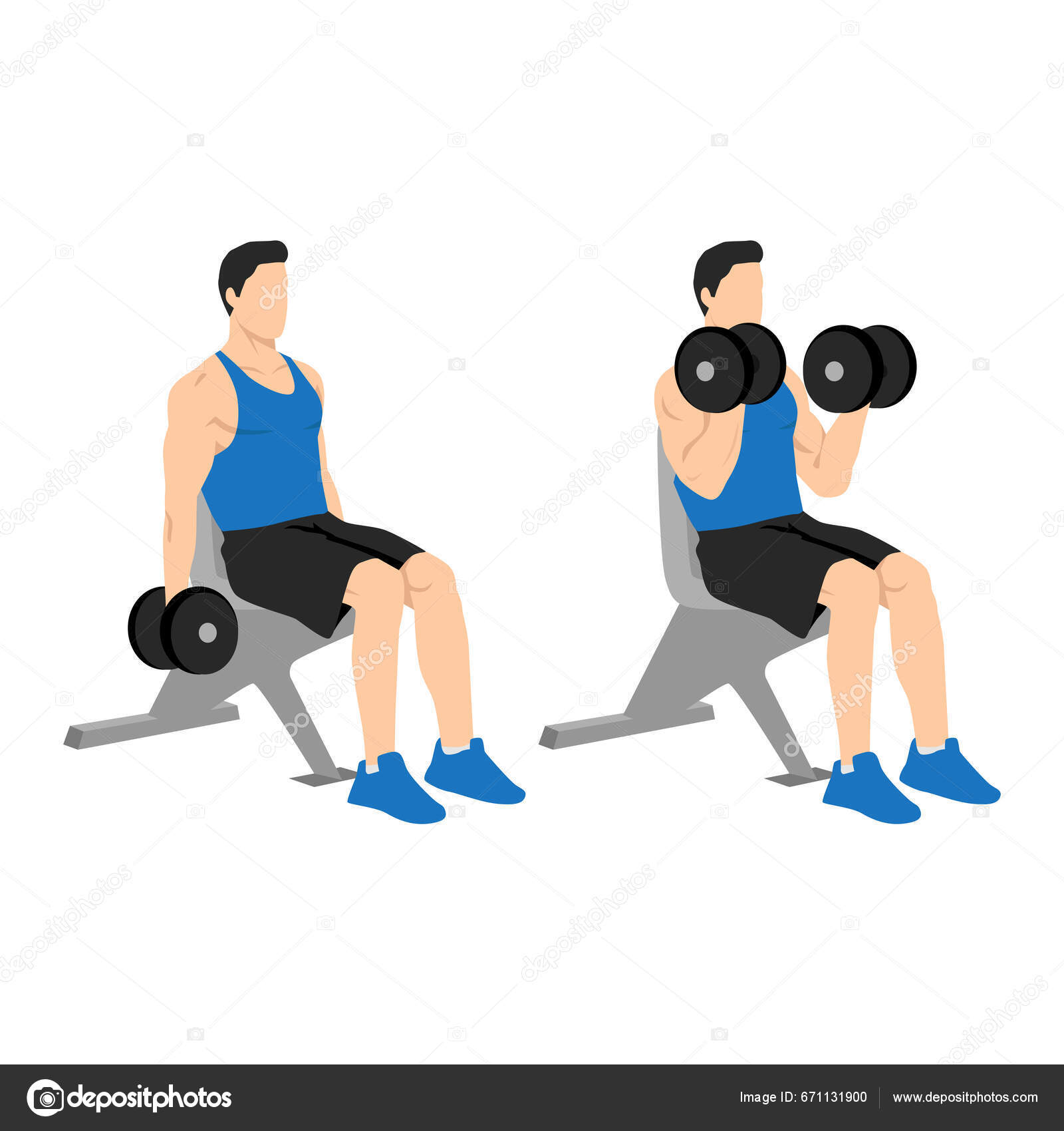 Curl Inclinado Curl De Biceps Con Mancuerna Sentado Hombre