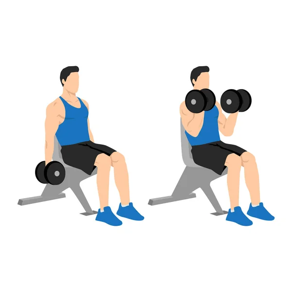 Man Doing Seated Dumbbell Bicep Curls Exercise Flat Vector Illustration — Stock Vector
