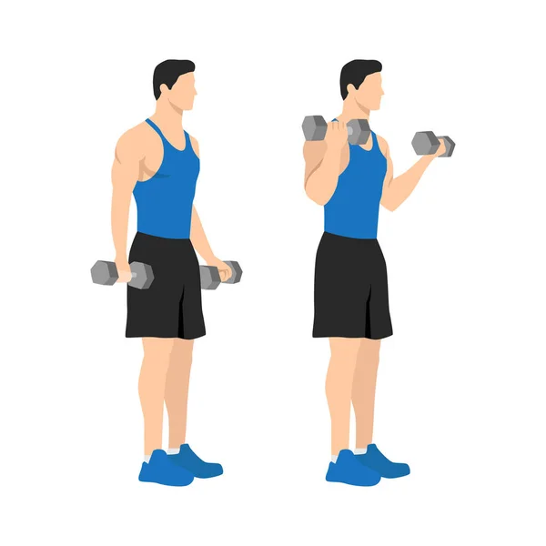 Man Doing Standing Dumbbell Bicep Curls Flat Vector Illustration Isolated — Stock Vector