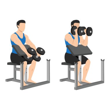 Adam halterli vaiz pazı bisepsi egzersizi yapıyor. Düz vektör çizimi beyaz arkaplanda izole edildi