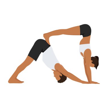 Genç çift akroyoga yapıyor, partneriyle yoga yapıyor, köpek yoga pozu veriyor, adho mukha svanasana. Düz vektör çizimi beyaz arkaplanda izole edildi