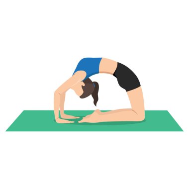 Güvercin pozu B veya Kapotasana B yoga egzersizi yapan bir kadın. Düz vektör çizimi beyaz arkaplanda izole edildi