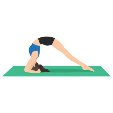 İki Ayaklı Ters Kadro Pozu ya da Dvi Pada Viparita Dandasana yoga egzersizi yapan kadın. Düz vektör çizimi beyaz arkaplanda izole edildi