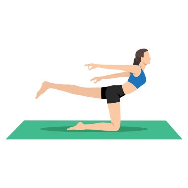 Dengeleyici İnek Pozu ya da Dengeleyici Bitilasana yoga egzersizi yapan bir kadın. Düz vektör çizimi beyaz arkaplanda izole edildi