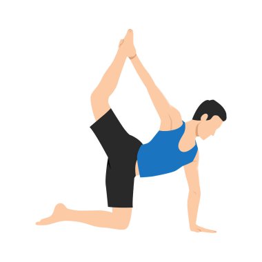 Royal Sunbird egzersizi yapan bir adam, Chakravakasana, kedi öksürüğünü dengelemek kolay bir varyasyon. Düz vektör çizimi beyaz arkaplanda izole edildi