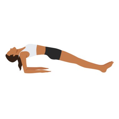 Upward Plank Pose Forearms ya da Kona Purvottanasana yoga egzersizi yapan genç bir kadın. Düz vektör çizimi beyaz arkaplanda izole edildi