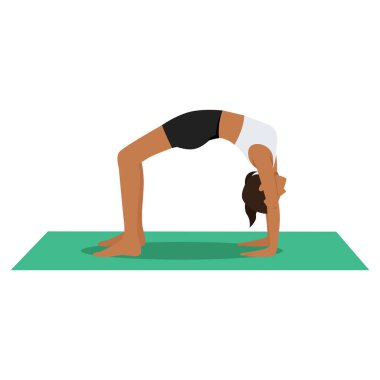 Wheel pozu veren genç bir kadın, Chakrasana, Upward Bow Poose veya Urdhva Dhanurasana. Düz vektör çizimi beyaz arkaplanda izole edildi