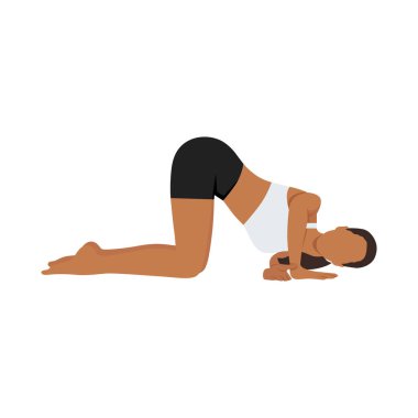 İğne Pozu, Parsva Balasana, Urdhva Mukha Pasasana yoga egzersizi yapan genç bir kadın. Düz vektör çizimi beyaz arkaplanda izole edildi