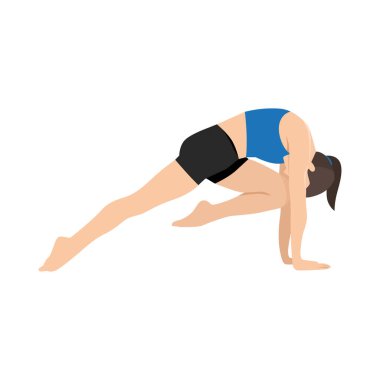 Dinamik Yoga Stretch, Diz 'den Dirseğe. Eka Pada Koundinyasana II, Tek Bacaklı Kollu Denge Pozu II. Düz vektör çizimi beyaz arkaplanda izole edildi