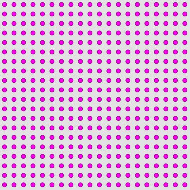 Beyaz üzerine pembe ve siyah noktalar 