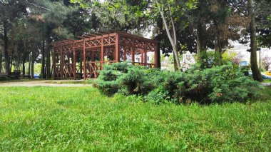 Parkta yeşil çimenler 