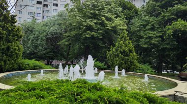 Parkın güzel manzarası 