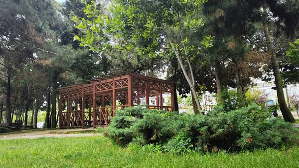 Fotografia Árvores Banco Gazebo Jardim Parque — Fotografia de Stock