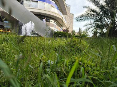 Uzay parkını aç. Ağaçlar ve bitkiler. Çeşme havuzu. Fışkıran sular. fotoğraf arkaplan resmi.