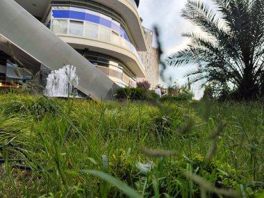 Uzay parkını aç. Ağaçlar ve bitkiler. Çeşme havuzu. Fışkıran sular. fotoğraf arkaplan resmi.