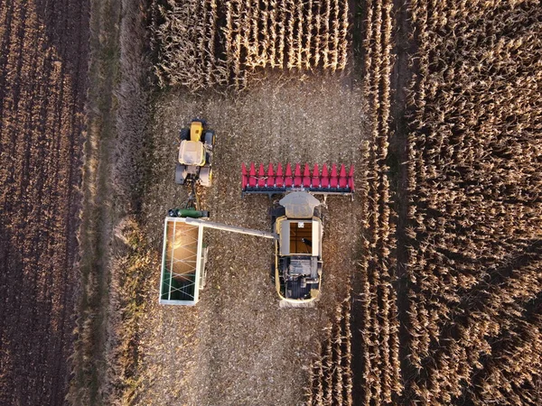 将玉米谷物装在拖拉机拖车上运送到农场的组合物的顶部视图 — 图库照片
