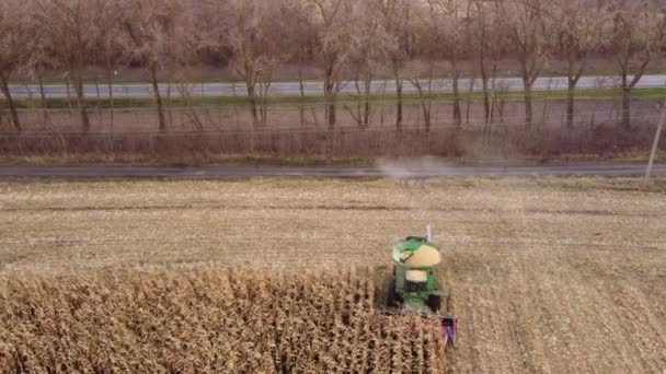 Luchtfoto Van Combineren Harvester Rijp Maïs Oogst Veld Oogsten — Stockvideo