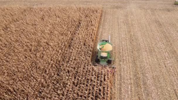 Zbiory Zbóż Pomocą Kombajnu Zbożowego Kombajn Przemysłowy Jeździ Pod Dronem — Wideo stockowe