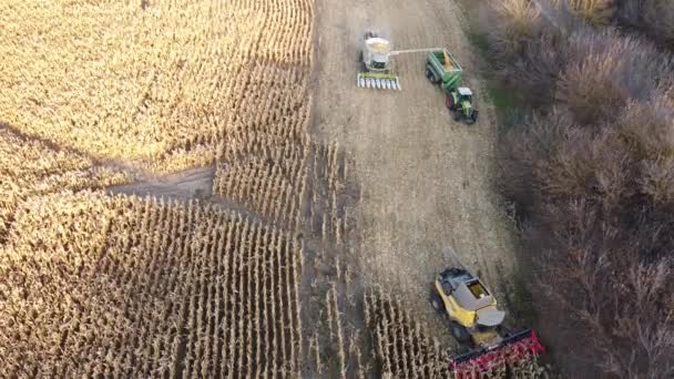 Luftaufnahme Der Arbeit Von Landwirtschaftlichen Maschinen Zur Getreideernte Einem Maisfeld — Stockvideo